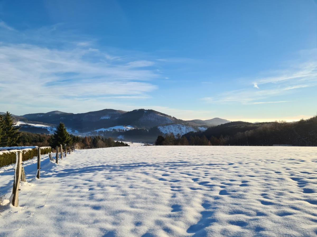 Ferienwohnung Auszeit Winterberg Zentrum Ngoại thất bức ảnh